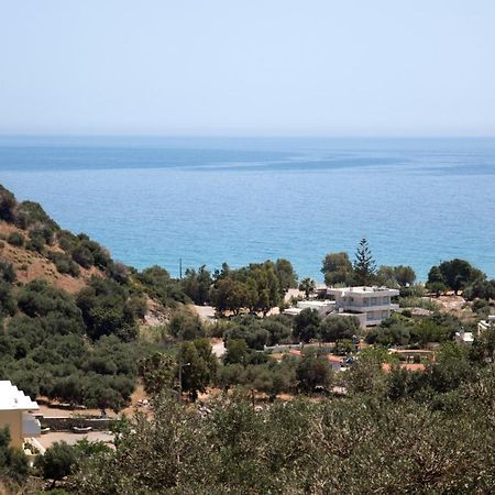 Rykinthos Studios Rodhákinon Dış mekan fotoğraf