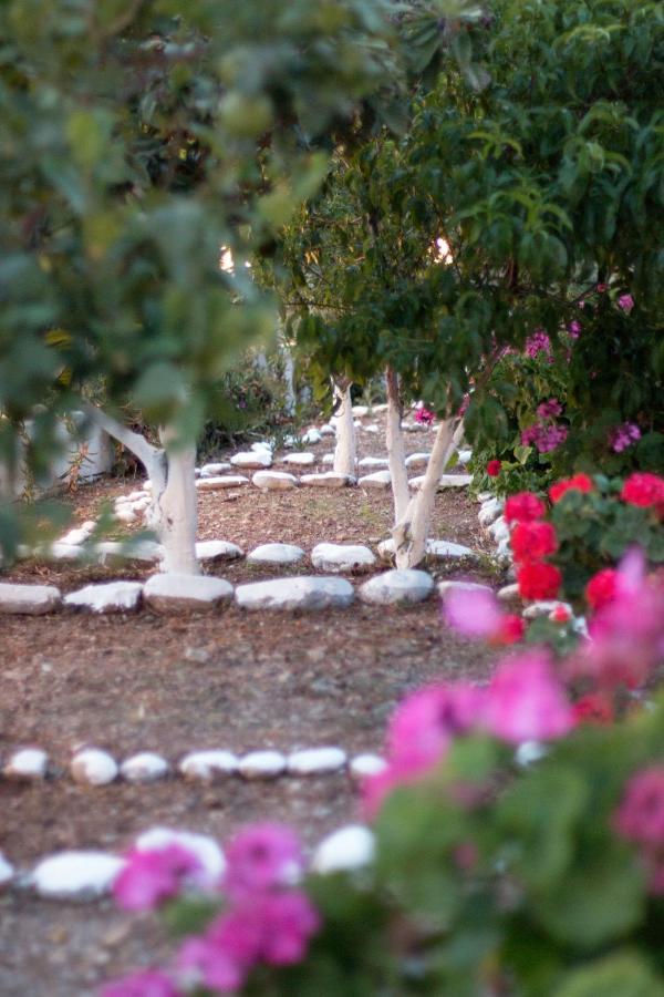 Rykinthos Studios Rodhákinon Dış mekan fotoğraf